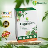  Trà Mát Gan GigaHerbs - Hộp Vip 56Gram Nước Trà Tea Chè, Cà Gai Leo Sạch Nguyên Chất, Atiso 