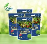  Trà Cà Gai Leo Rau Má 1KG Bịch Siêu Tiết Kiệm 