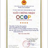 Trà Cà Gai Leo Rau Má 250Gram Nước Trà Tea Chè 