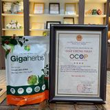  Trà Cà Gai Leo Atiso GigaHerbs - Túi Zip 250Gram Nước Trà Tea Chè, Cà Gai Leo Sạch Nguyên Chất, Atiso 