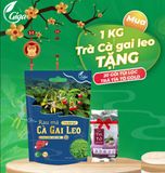  Mua 1 Kg Trà Cà Gai Leo Rau Má + Tặng 1 túi Trà Tía Tô 20 túi lọc 