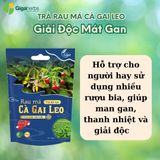  Trà Cà Gai Leo Rau Má GigaHerbs Trà Tốt Cho Gan - 60 Túi Lọc - Nước Trà Làm Mát Gan Tea Chè Tốt Cho Sức Khỏe 