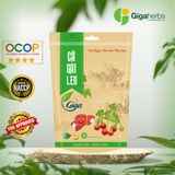  Trà Cà Gai Leo Nguyên Chất GigaHerbs - Trà Thảo Dược Herbal Tea Túi 250Gr 