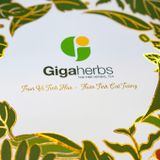 Hộp Trà 3 Vị GigaHerbs - Atiso Cà Gai Leo, Tía Tô Gold, Rau Má Tía Tô - Kèm Cốc Giữ Nhiệt, Mật Ong Sâm Đương Quy 