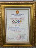  Mua 1 Kg Trà Cà Gai Leo Rau Má + Tặng 1 Túi Trà Đinh Lăng Lạc Tiên 20 Túi Lọc 