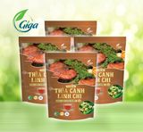  Trà Thìa Canh Linh Chi Bịch 1KG Tiết Kiệm Nước Trà Tea Chè 