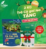  Mua 2 Kg Trà Cà Gai Leo Rau Má + Tặng 1 Hộp Trà Bổ Phế Nước Trà Tea Chè 