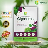  Trà Rau Má Tía Tô Gigaherbs Nước Trà Tea Chè - Túi 250Gr 