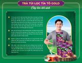  Trà Tía Tô Gold 250g 60 Túi lọc 