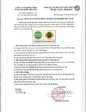  250Gram Trà Cà Gai Leo Nguyên Chất GiGa Nước Trà Tea Chè 