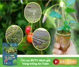  Trà Cà Gai Leo Rau Má 250 Gram 