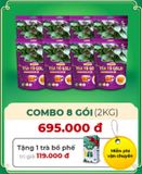  Combo 2 Kg Trà Tía Tô Gold 480 Túi Lọc Nước Trà Tea Chè 