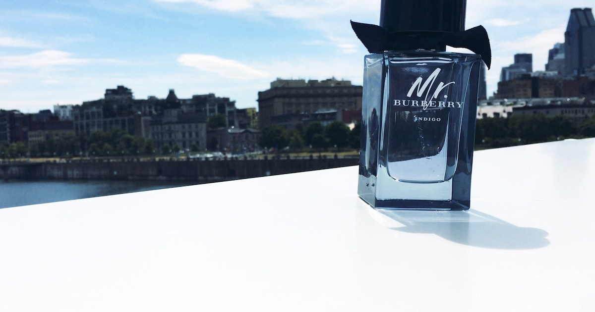 Burberry on sale indigo song