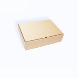  E51 - 20x18x8 cm - Hộp Carton Nắp Gài 