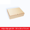  E9 - 30x20x7.5 cm - Hộp carton nắp gài 