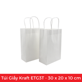  ETG3T - 30x20x10 cm - Túi Giấy Kraft Màu Trắng 
