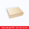 E73 - 25x20x6 cm - Hộp carton nắp gài 