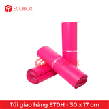  100 Túi/Pack Nilon giao hàng ET0H - 30x17 cm 