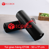  100 Túi/Pack Nilon giao hàng ET0B - 30x17 cm 