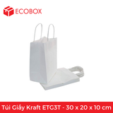  ETG3T - 30x20x10 cm - Túi Giấy Kraft Màu Trắng 