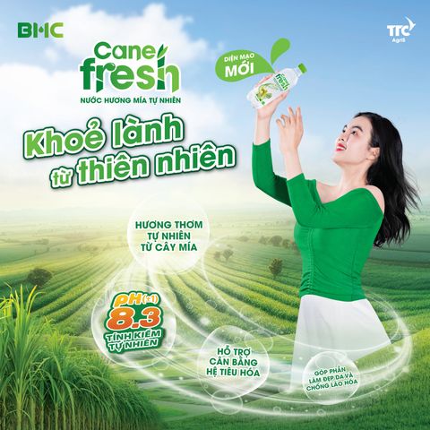  Combo 2 Thùng - Nước hương mía tự nhiên Cane Fresh 500ml 48chai/500ml/2Thùng 