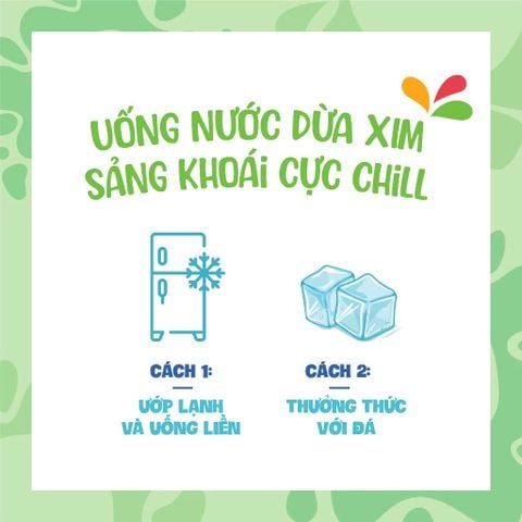  Combo 12 Chai Nước dừa Xim thạch dừa tươi chai PET 350ml 