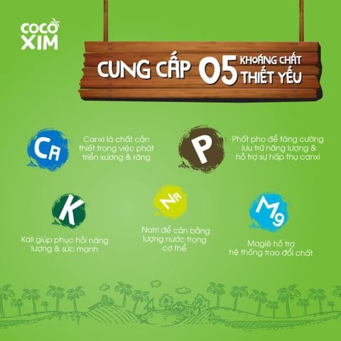  Thùng 12 Hộp Nước dừa đóng hộp Cocoxim Tắc 330ml/Hộp 