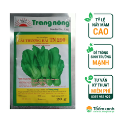 Hạt Giống Cải Thượng Hải TN 290 - Trang Nông  20 gram