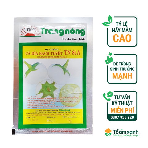 Hạt Giống Cà Dĩa Bạch Tuyết TN 81A - Trang Nông