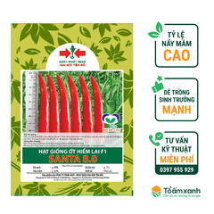 Hạt Giống Ớt Hiểm Lai F1 SANTA 8.0 - Hai Mũi Tên Đỏ