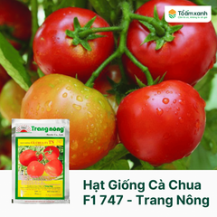 Hạt Giống Cà Chua F1 TN 747 - Trang Nông