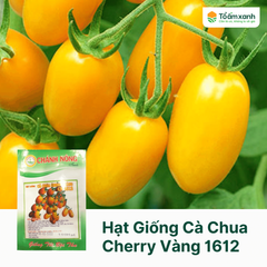 Hạt Giống Cà Chua CHERRY Vàng CN 1612 - Chánh Nông