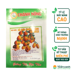 Hạt Giống Cà Chua CHERRY Vàng CN 1612 - Chánh Nông