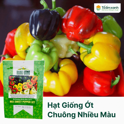 Hạt Giống Ớt Chuông Nhiều Màu Lai F1 327 - 5 Hạt