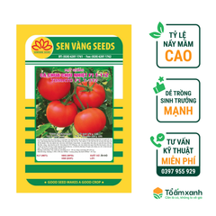 Hạt Giống Cà Chua Chịu Nhiệt F1 T-112 - Sen Vàng