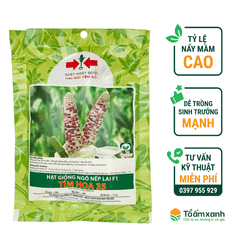 Hạt Giống Ngô Nếp Lai F1 - Tím Hoa 35 - Hai Mũi Tên