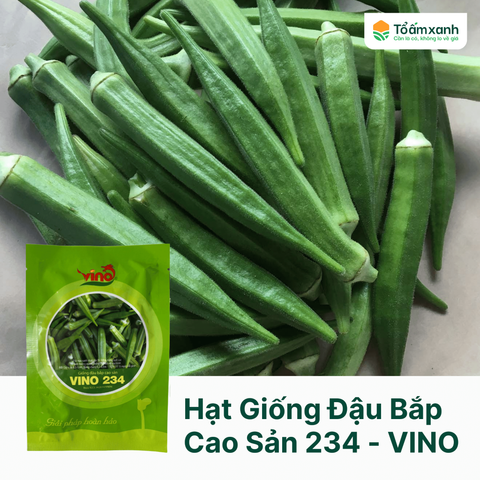 Hạt Giống Đậu Bắp Cao Sản 234 - VINO