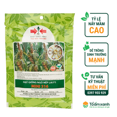 Hạt Giống Bắp Nếp Lai F1 MINI 316 - Hai Mũi Tên Đỏ