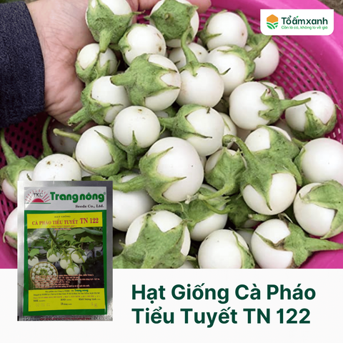 Hạt Giống Cà Pháo Tiểu Tuyết TN 122 - Trang Nông