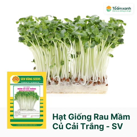 Hạt Giống Rau Mầm Củ Cải Trắng - Sen Vàng