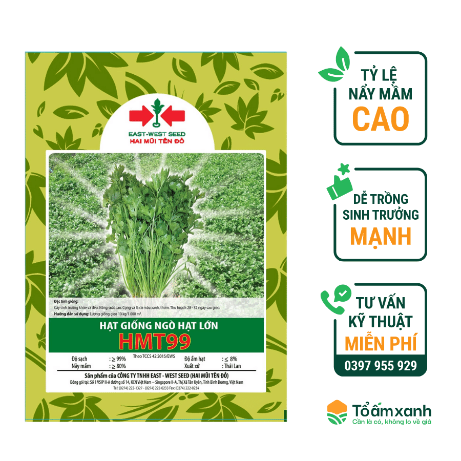 Hạt Giống Ngò Hạt Lớn 99 - Hai Mũi Tên Đỏ - 1 Kg