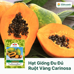Hạt Giống Đu Đủ Ruột Vàng CARINOSA Lai F1 - Hai Mũi Tên Đỏ