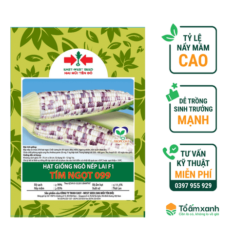 Hạt Giống Ngô Bắp Lai F1 - Tím Ngọt 099 - Hai Mũi Tên Đỏ