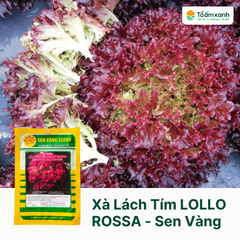 Xà Lách Tím LOLLO ROSSA - Sen Vàng - 10 gram