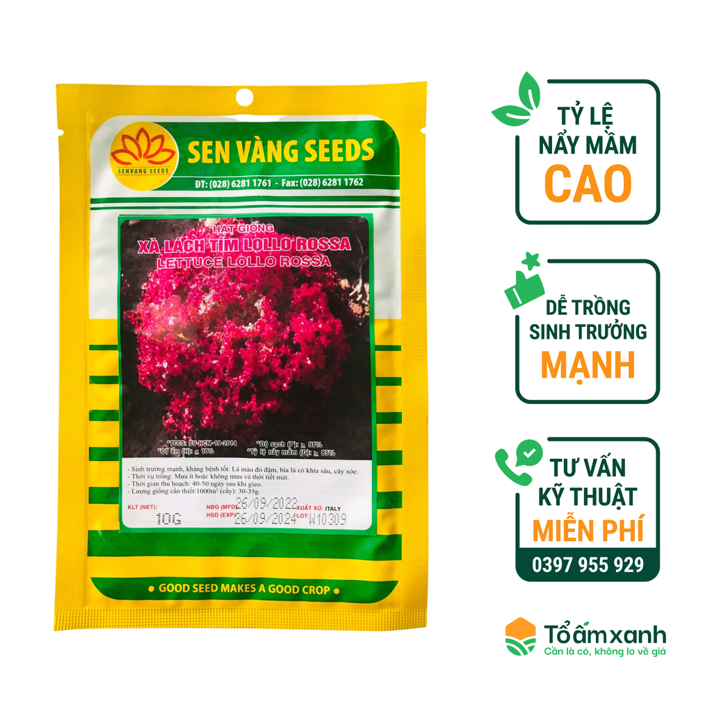 Xà Lách Tím LOLLO ROSSA - Sen Vàng - 10 gram