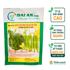 Hạt Giống Mướp Siêu Bông-Nụ-Đọt ĐA 366