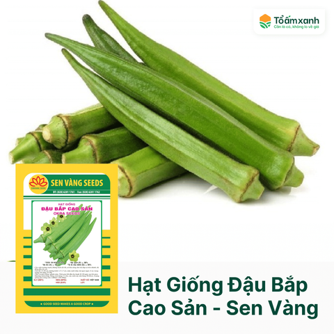 Hạt Giống Đậu Bắp Cao Sản - Sen Vàng