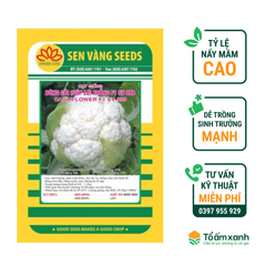 Hạt Giống Bông Cải, Súp Lơ Trắng F1 999 - Sen Vàng