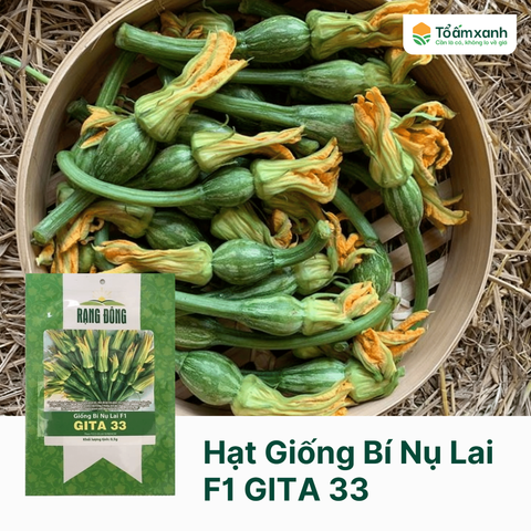 Hạt Giống Bí Nụ Lai F1 GITA 33 - Rạng Đông