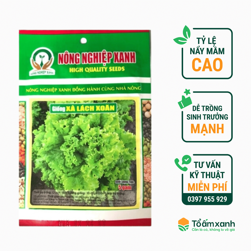 Hạt Giống Xà Lách Xoăn - Nông Nghiệp Xanh